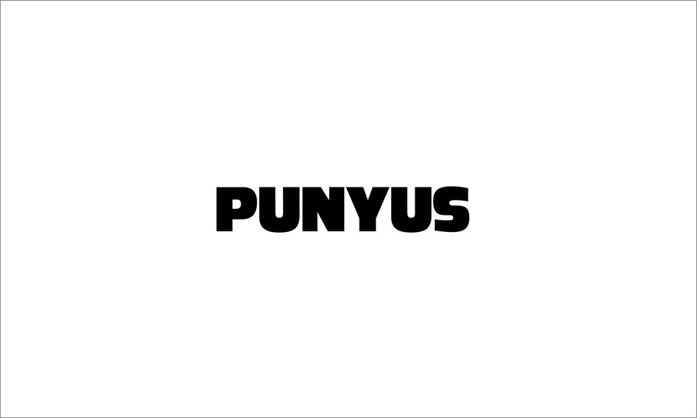 WEGO ブランド　渡辺直美プロデュースブランド「PUNYUS」キャスティング業務
